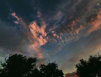 Low angle view of silhouette trees against sky