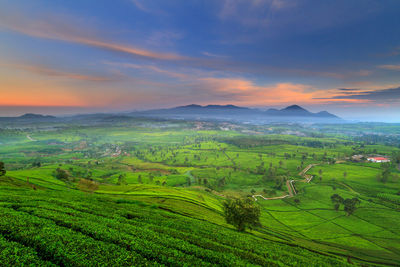 Scenic view of agricultural field against sky during sunset