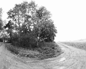 Dirt road passing through forest