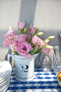 Close-up of pink flowers in vase on table