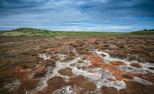 Scenic view of land against sky