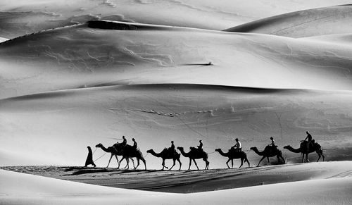 People with camel on sand dunes