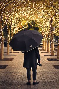 Rear view of man with umbrella standing amidst illuminated trees at night