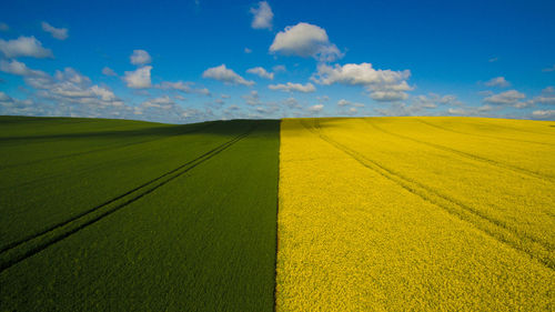 Scenic view of agricultural field against sky