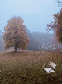 Tree on field against sky during autumn