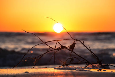 Close-up of sea against sunset sky
