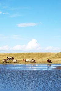 Scenic view of landscape against sky