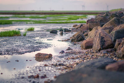 Surface level of rocks on shore