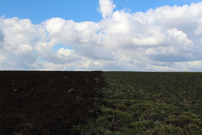 Scenic view of field against sky