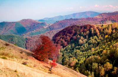 Romanian mountains in autumn season, cindrel mountains, paltinis area, sibiu county, central romania