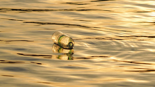 Plastic waste floating in the river