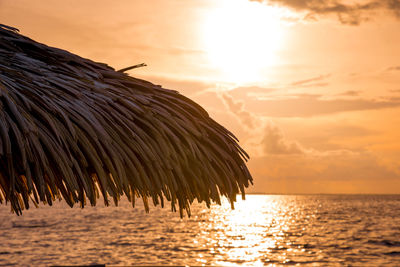 Palapa at sunrise