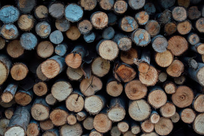 Full frame shot of logs