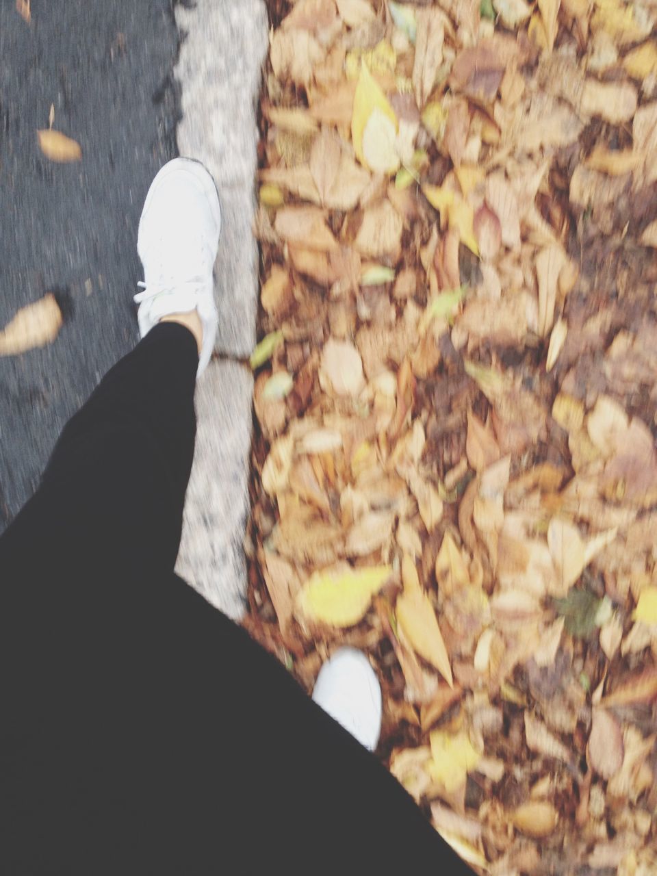 high angle view, low section, shoe, person, personal perspective, unrecognizable person, standing, human foot, day, outdoors, footwear, part of, street, lifestyles, leaf, autumn, sunlight