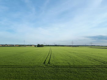 Scenic view of agricultural field against sky