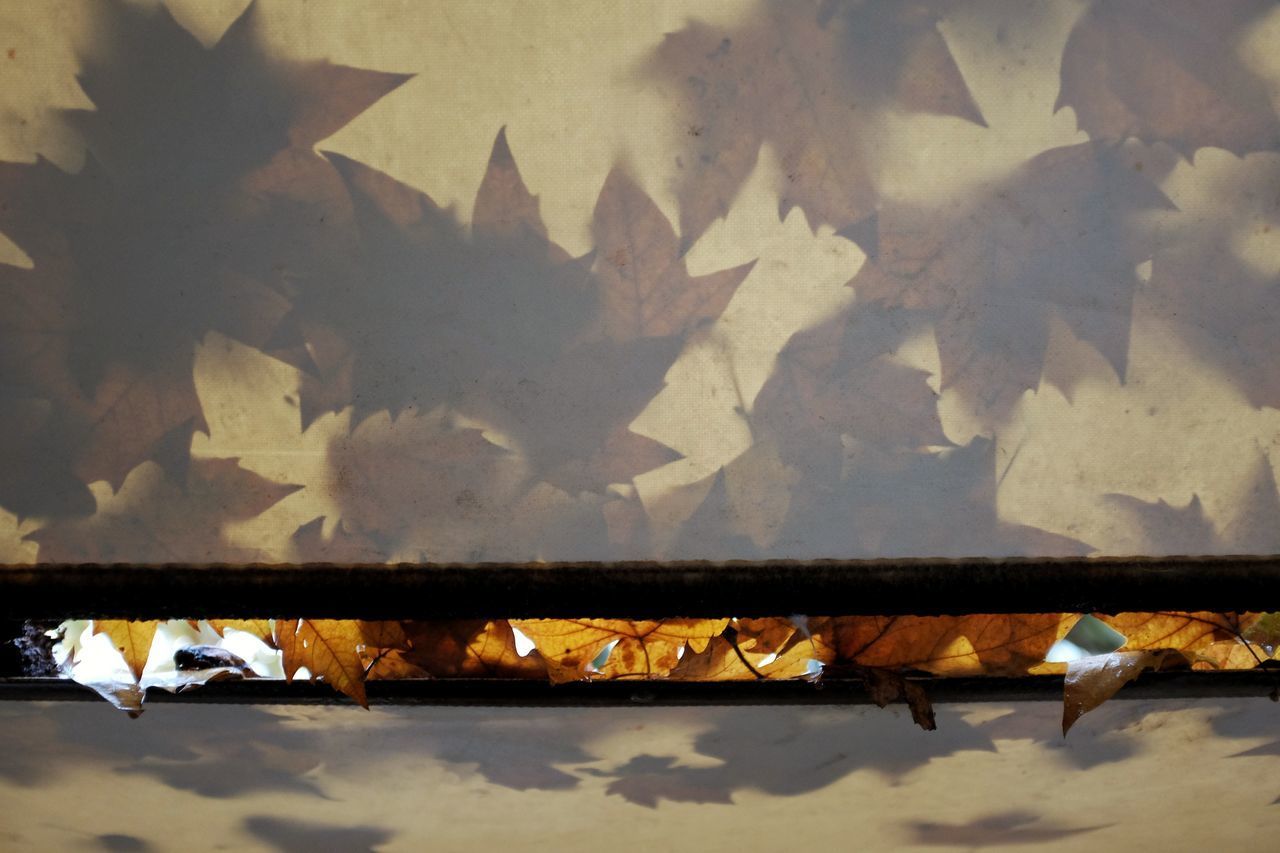 HIGH ANGLE VIEW OF REFLECTION ON GLASS WALL