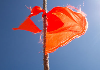 Close-up of orange flower against blue sky