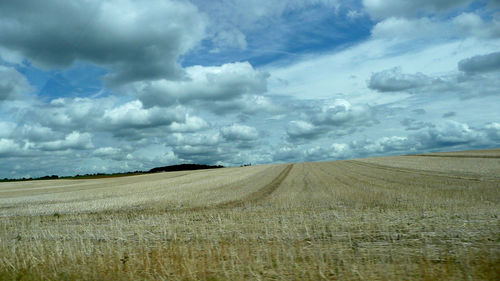 Scenic view of grassy field against cloudy sky