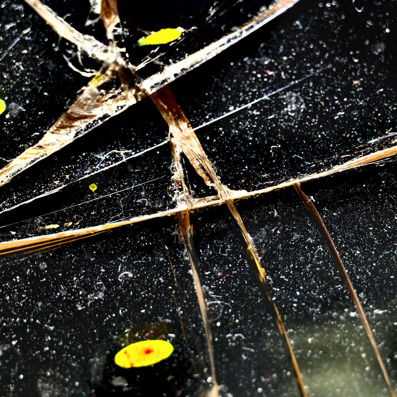 FULL FRAME SHOT OF WET LEAF IN RAIN