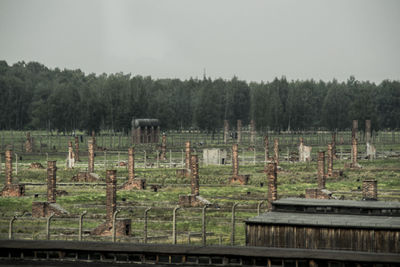 Scenic view of farm against sky