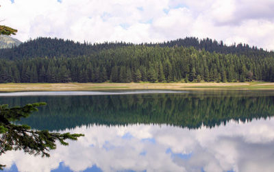 Scenic view of lake by trees against sky