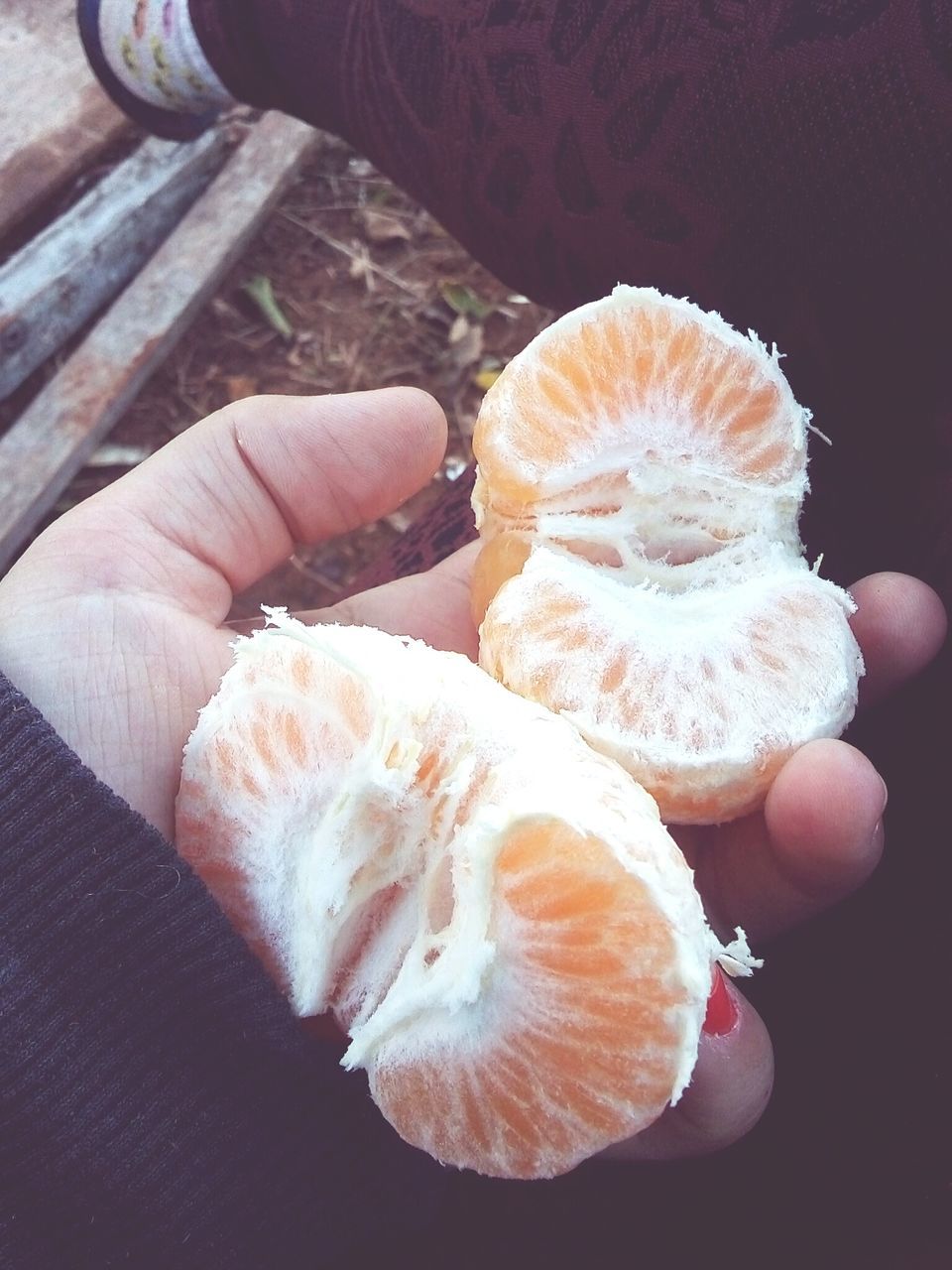 human hand, one person, holding, human body part, unrecognizable person, food and drink, human finger, real people, healthy eating, freshness, food, fruit, close-up, day, lifestyles, indoors, people