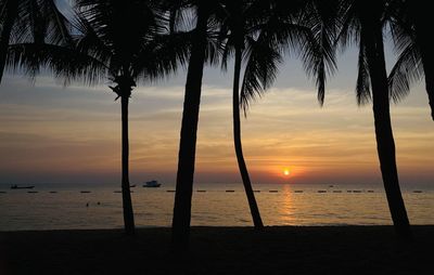 Silhouette palm trees on beach against sky during sunset