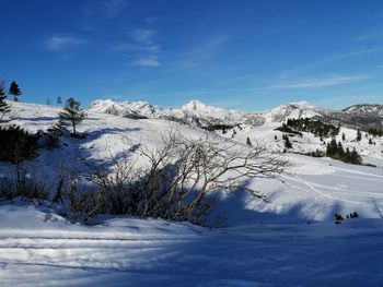 Scenic view of snow covered field against sky