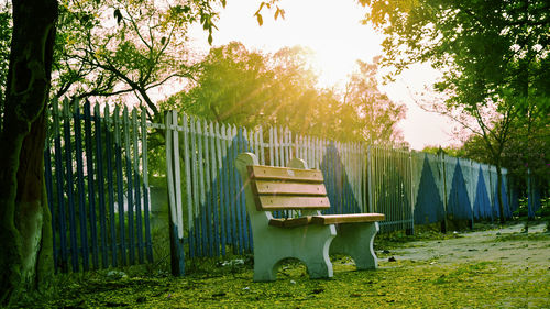 Chairs in park