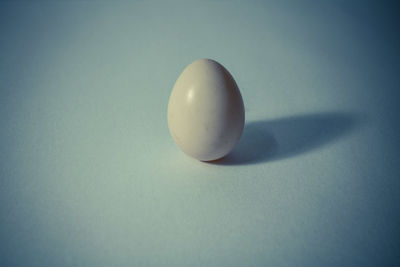 Close-up of egg against white background