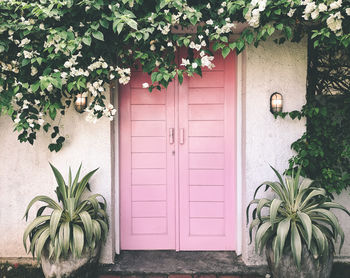 Closed pink door with plants framing it