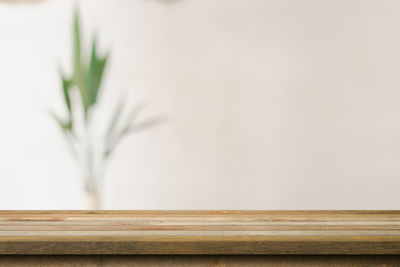 Close-up of plant on table