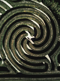 Full frame shot of spiral hedge