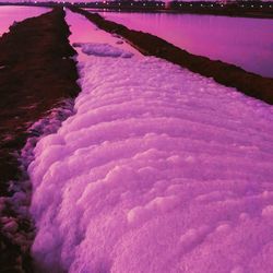 Close-up of pink water