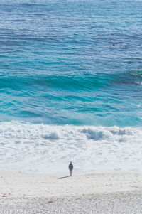 Rear view of man on beach