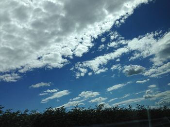 Low angle view of trees against sky