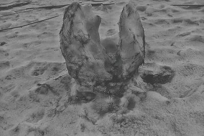 Close-up of sand at beach