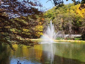 Scenic view of waterfall in forest during autumn