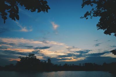 Low angle view of silhouette trees against sky