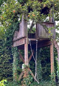 Old abandoned house amidst trees and plants