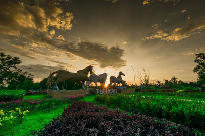 Panoramic view of people on field against sky during sunset