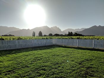 Scenic view of field by lake against clear sky