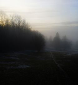 Bare trees by road against sky during sunset