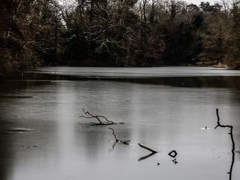 Scenic view of lake