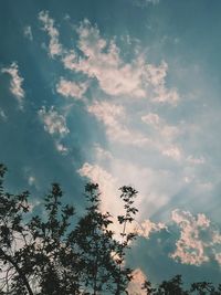 Low angle view of tree against sky