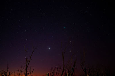 Low angle view of silhouette trees against sky at night