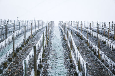 Panoramic shot of snowy field against clear sky