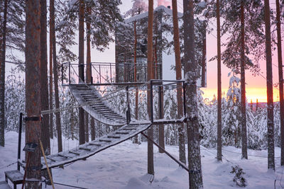 Trees on snow covered field during sunset