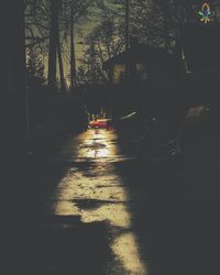 Shadow of trees on ground