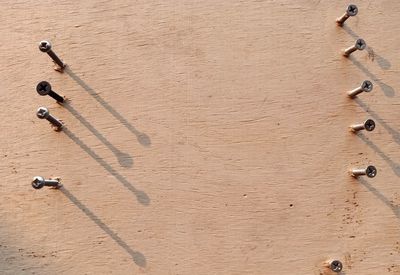 High angle view of chain on table